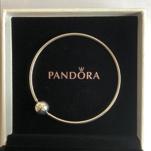 Pandora Essence Bangle Bracelet